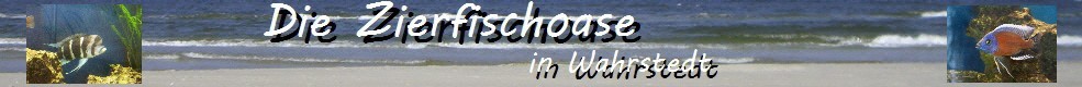dieZiefischoase Wahrstedt